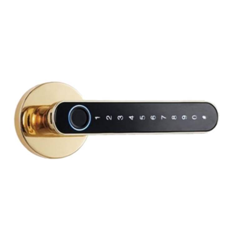 Keyless Fingerprint Touch Lock
